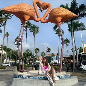 Harmony Hotel Hostel Aruba Aparthotel
